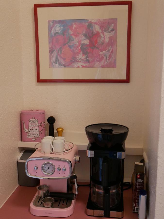 Ferienwohnungen In Der Kunstgalerie Charlie Und Jenny 开姆尼茨 外观 照片